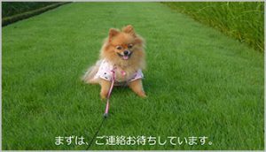 鹿沼市東町【 53.36坪 】